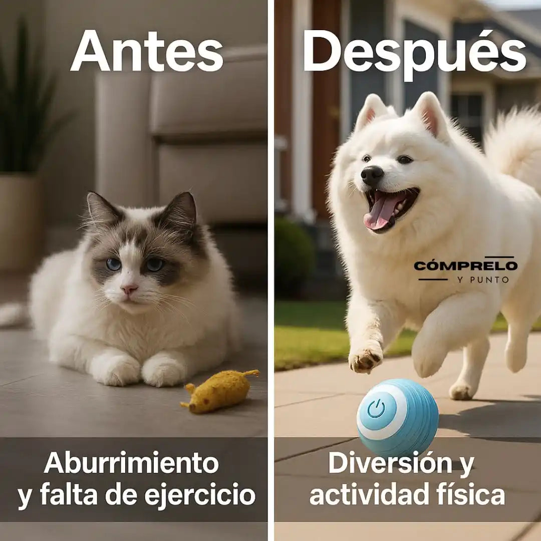 SmartPet® – Pelota Inteligente para Mascotas | Diversión sin fin para gatos y perros